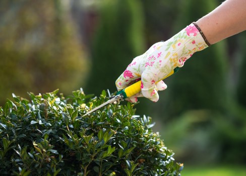 Secure online payment process for Rotherhithe garden services
