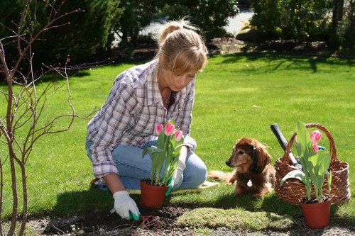 Worker wearing protective equipment operating landscaping machinery